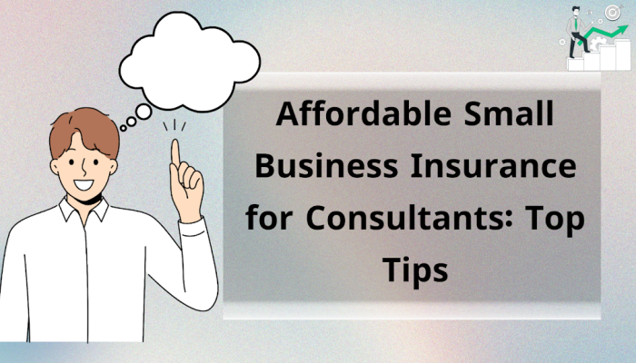 Affordable Small Business Insurance for Consultants: Top Tips